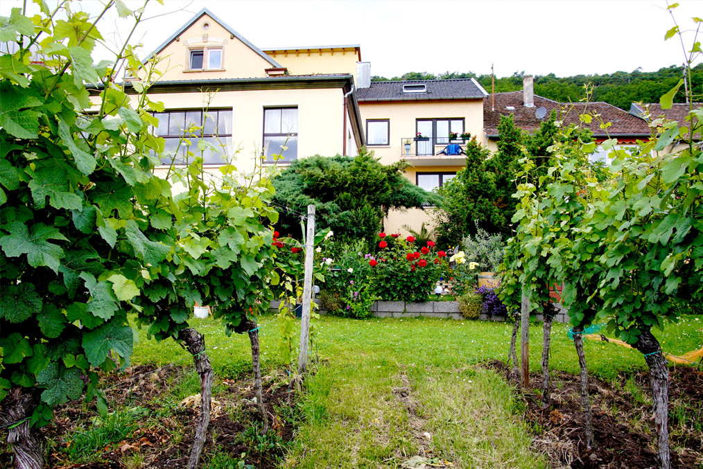 Gästehaus MÜLLER-PRESSLER | Haardt | Neustadt